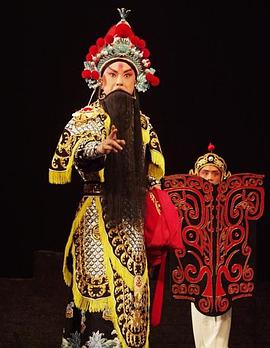 麻花导航《袁崇焕2009》免费在线观看