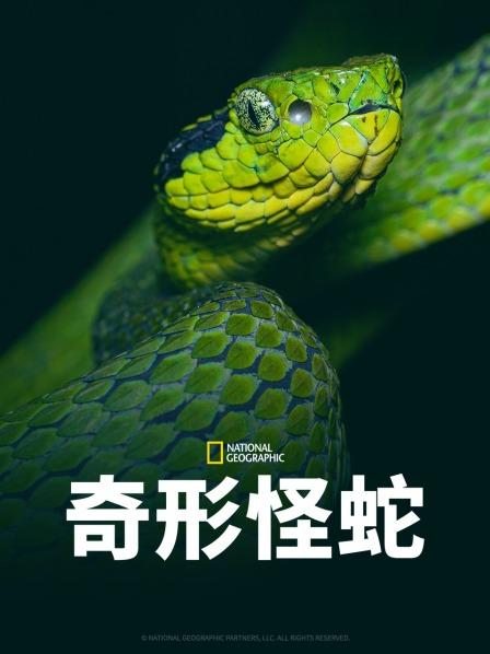 麻花导航《奇形怪蛇》免费在线观看